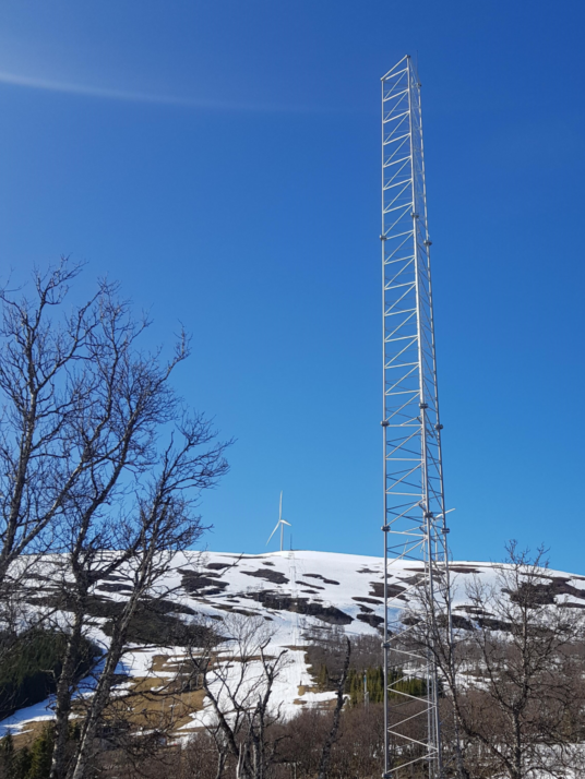 Triangulær mast.